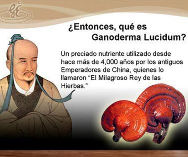 PIOIR Ganoderma Lucidum 10