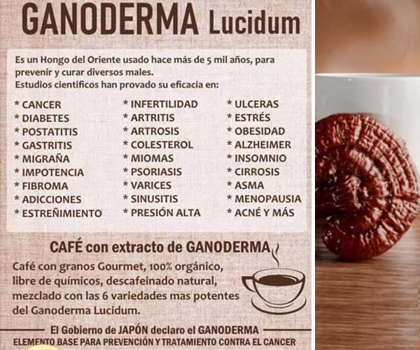 PIOIR Ganoderma Lucidum 12