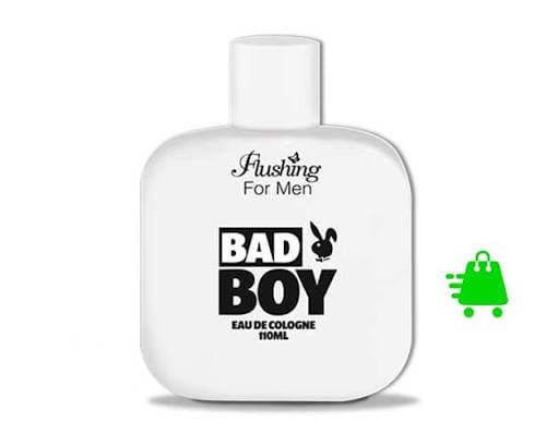 Eau de Cologne For Men BAD BOY de Flushing 110 mL