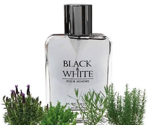 Eau de Toilette BLACK & WHITE de LeCleire 100 mL