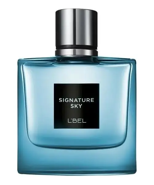 Perfume para Caballeros SIGNATURE SKY de L´BEL de 100 mL
